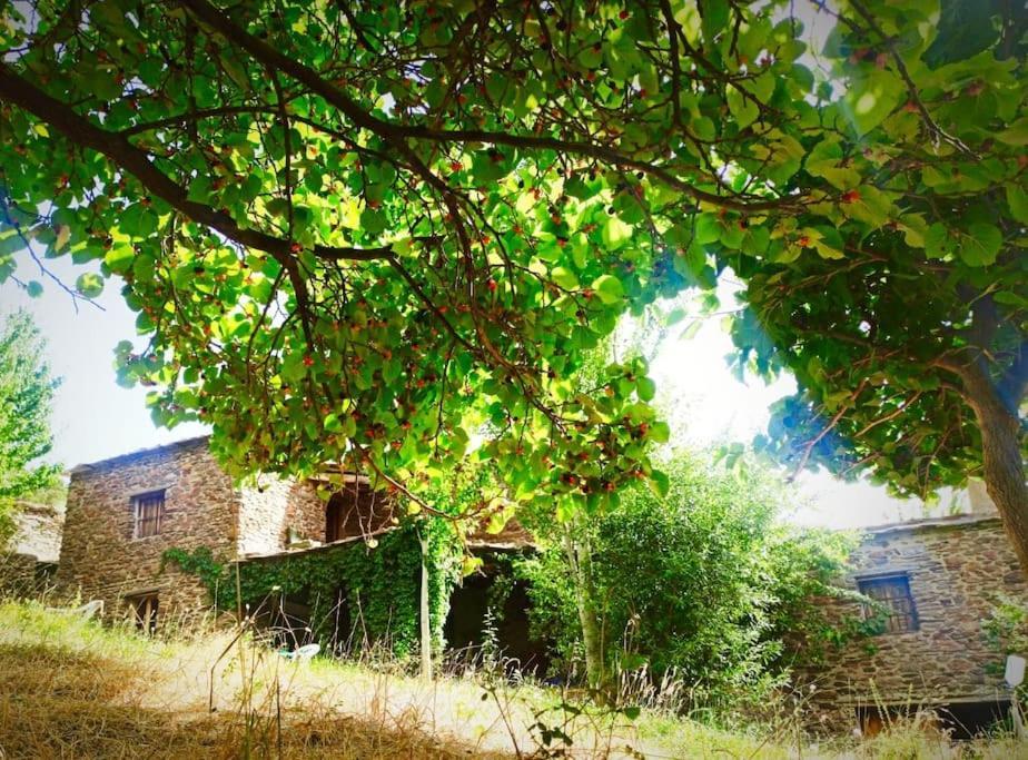 Cortijo Rural El Albercon - Capileira - Alpujarra Ruralヴィラ エクステリア 写真
