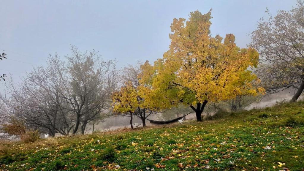 Cortijo Rural El Albercon - Capileira - Alpujarra Ruralヴィラ エクステリア 写真