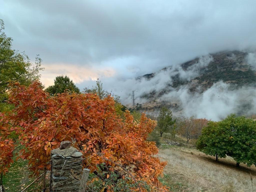 Cortijo Rural El Albercon - Capileira - Alpujarra Ruralヴィラ エクステリア 写真