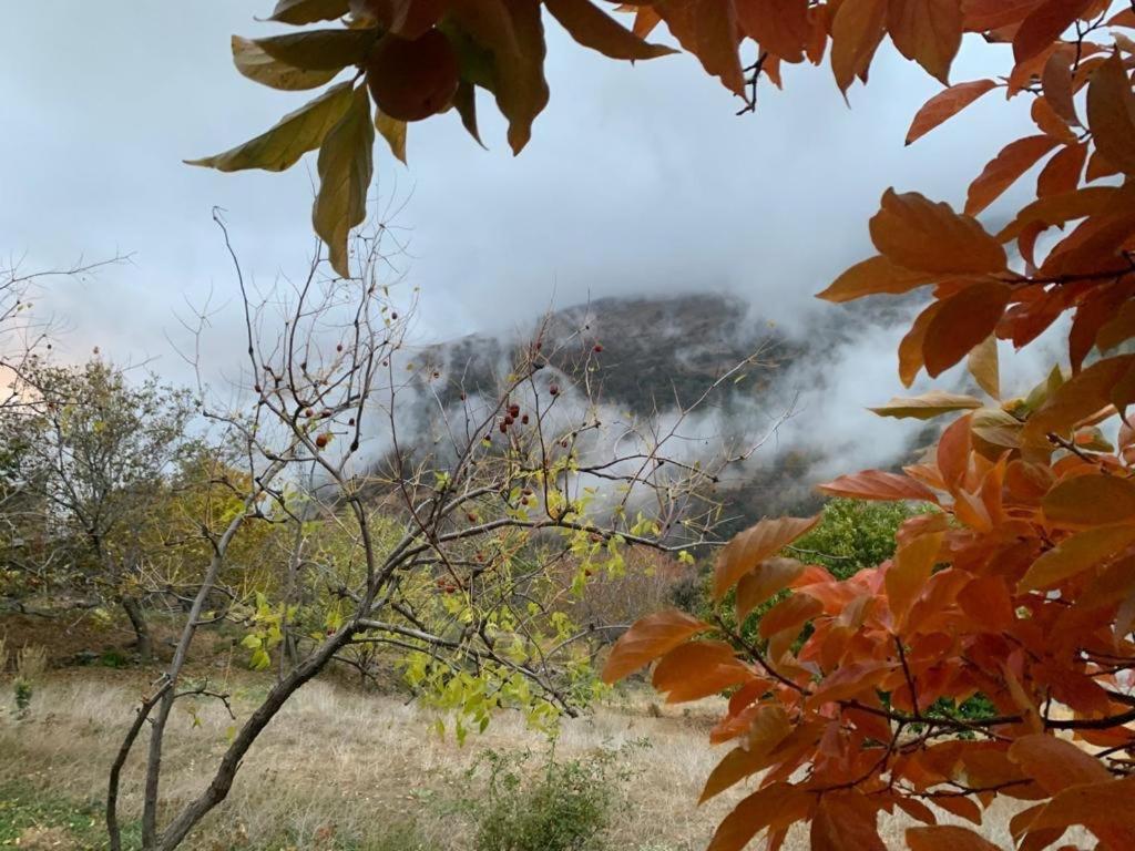 Cortijo Rural El Albercon - Capileira - Alpujarra Ruralヴィラ エクステリア 写真