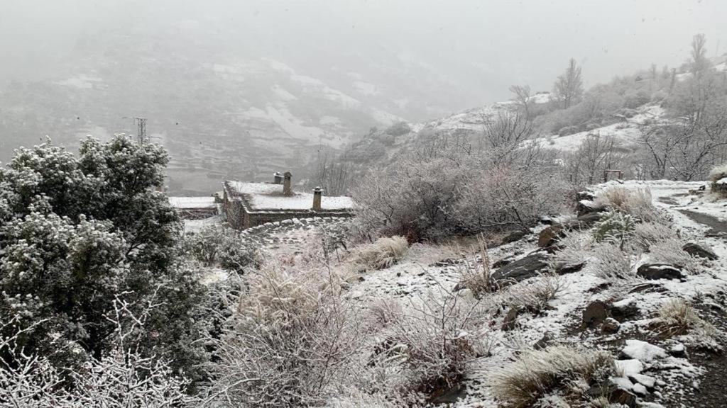 Cortijo Rural El Albercon - Capileira - Alpujarra Ruralヴィラ エクステリア 写真