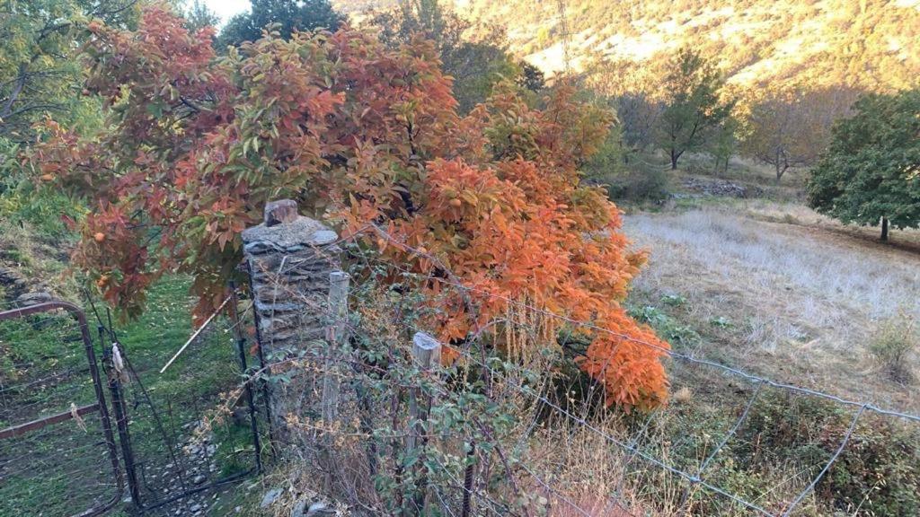 Cortijo Rural El Albercon - Capileira - Alpujarra Ruralヴィラ エクステリア 写真